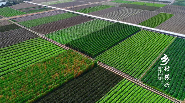 1553846420136047.jpg 3_編輯.jpg