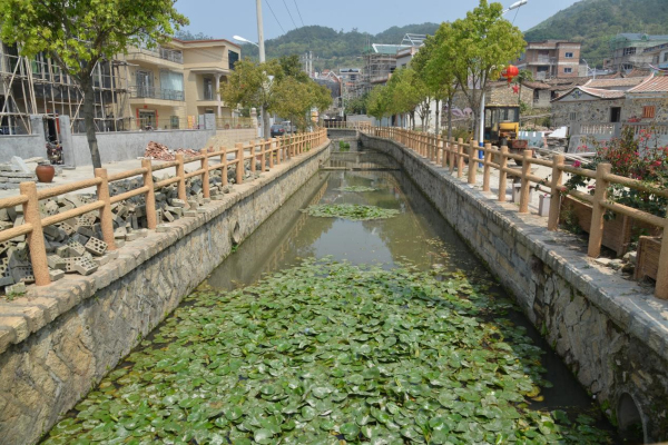 1553846702620788.jpg 11_編輯.jpg